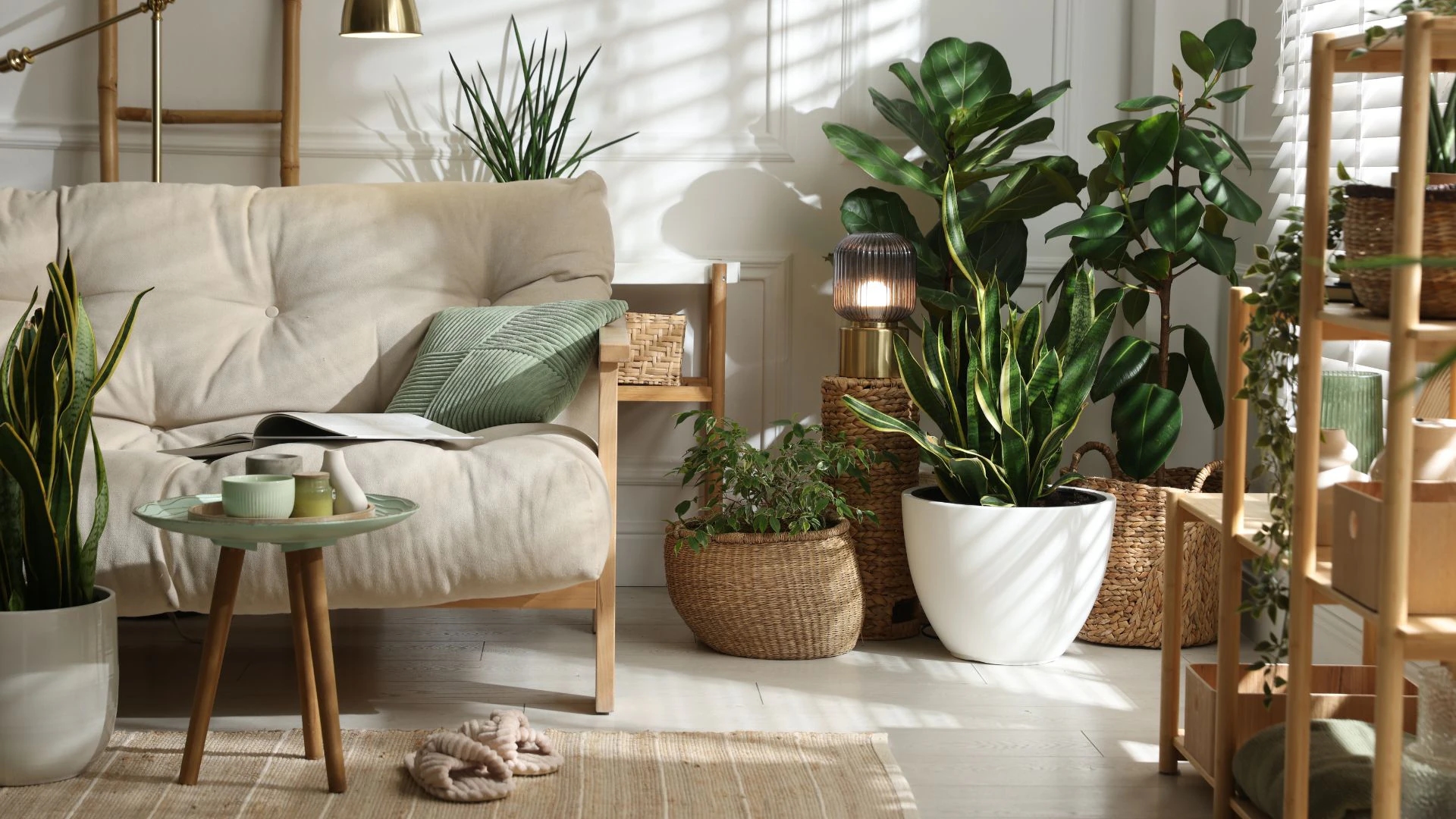 Why Cheap Plant Pots Develop Odor or Mold: Causes and Solutions