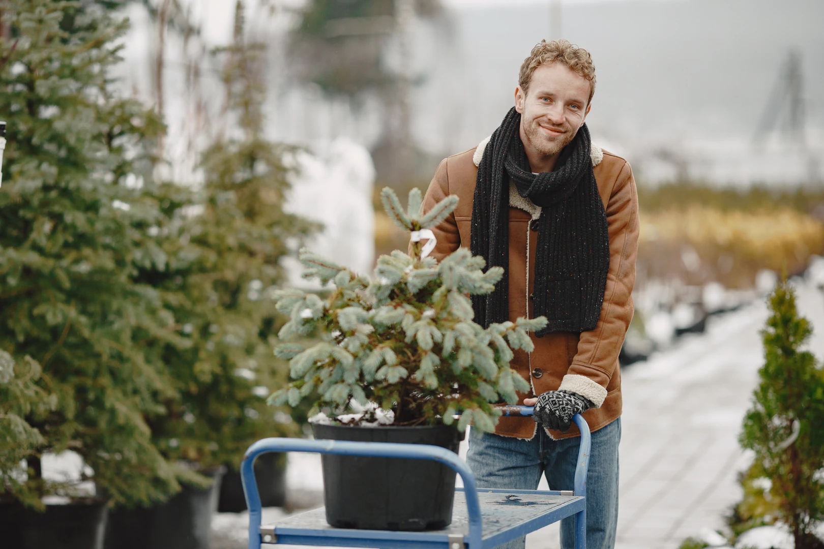 Outdoor Pots: What Can Withstand Ukrainian Winters