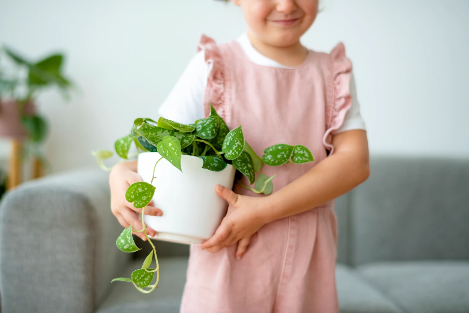 Plant Pots for Kids’ Rooms: Safe Materials and Design