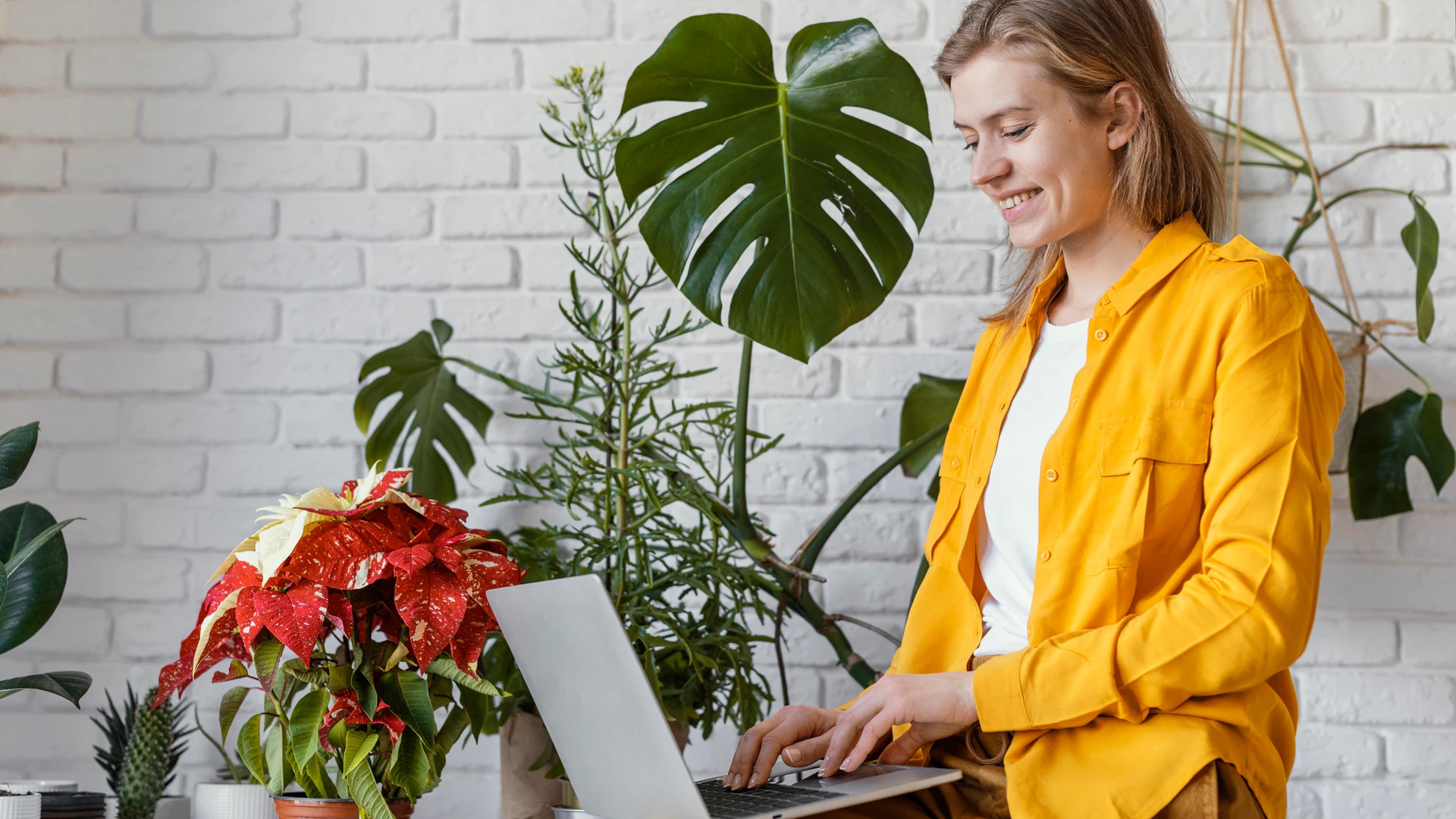 Top Mistakes When Buying Plant Pots Online: How to Avoid Getting the “Wrong One”
