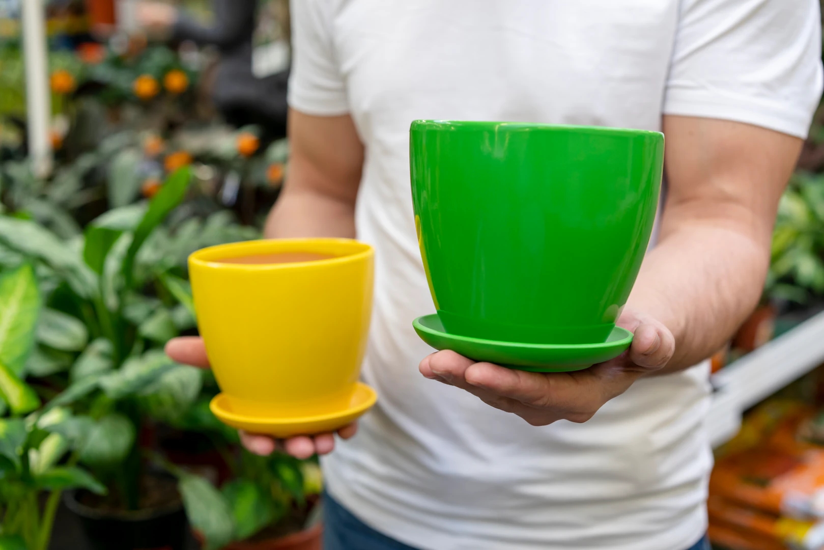 How to Choose a Pot for Repotting After Buying a Plant