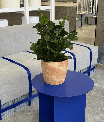 Buy Flowerpots in Ukraine and Rivne with Delivery